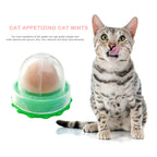 Catnip Licking Candy Nutrition Gel Treats for Kittens