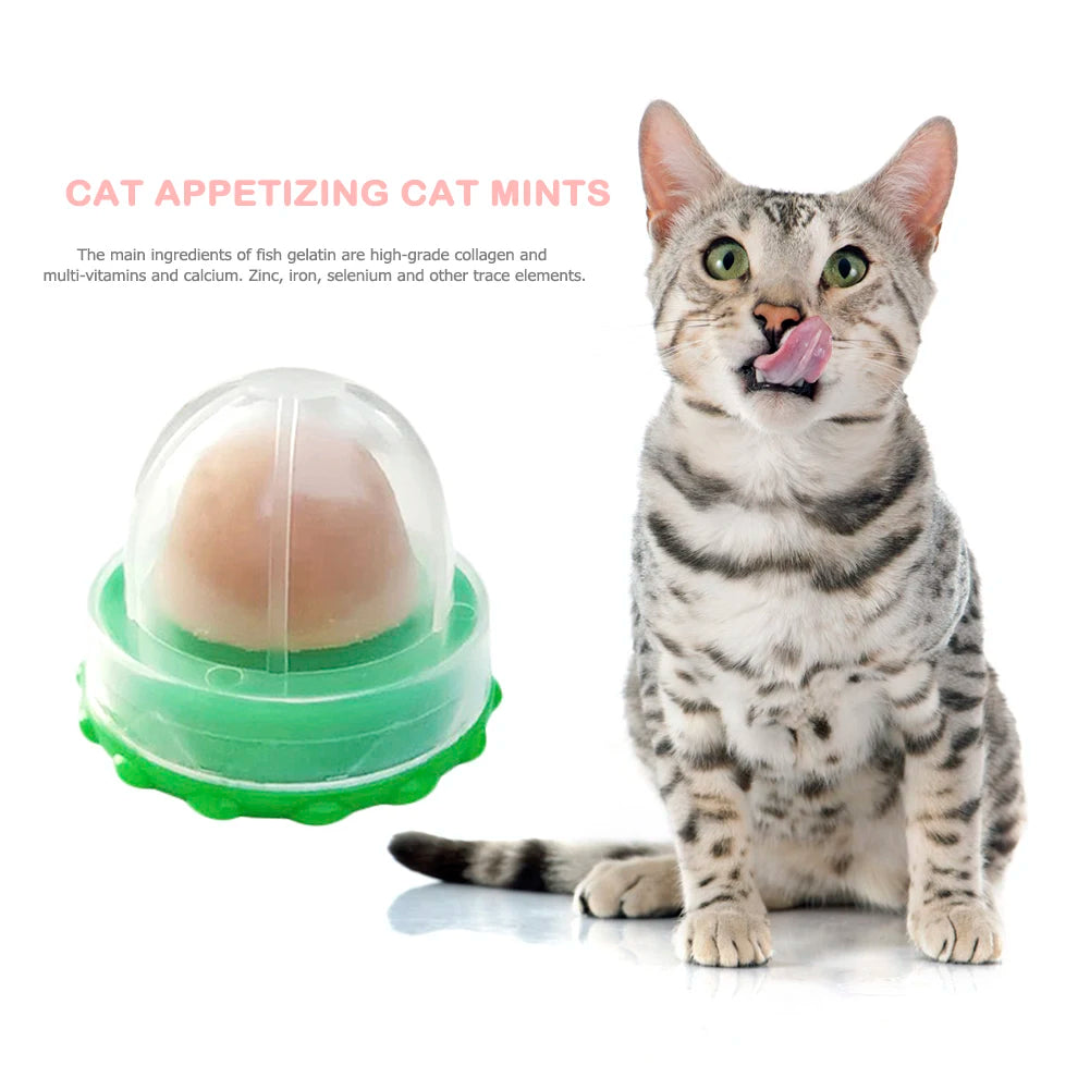 Catnip Licking Candy Nutrition Gel Treats for Kittens