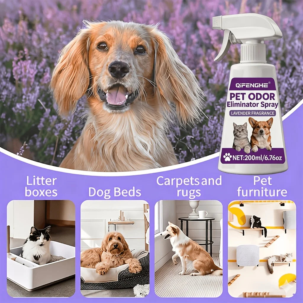 Pet Urine Odor Remover Spray, Efficient Stubborn Smell Eliminator, Pet Safe Deodorizer, Fast Drying No Residue Formula, Gentle D