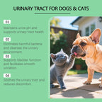 Pet Urine pH Maintenance Drops – Gentle Formula Reduces Harmful Bacteria, Daily Care for Comfortable and Healthy Pets