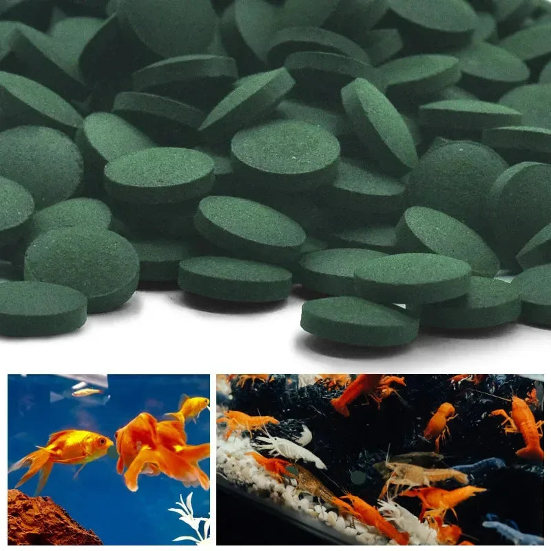 100-3000pcs High Purity Spirulina Tablets Are Rich In Spirulina. Pet Favorite Fish Feed, Shrimp And Fish Food, Aquarium
