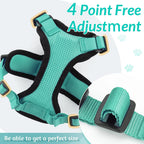 Anti-Escape Kitten Harness & Traction Belt — Lightweight Breathable Soft Vest for Walking Small Cats