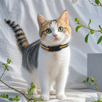 IP67 Waterproof GPS Smart Collar for Cats & Dogs - No Subscription WiFi Real-Time Anti-Loss Tracker