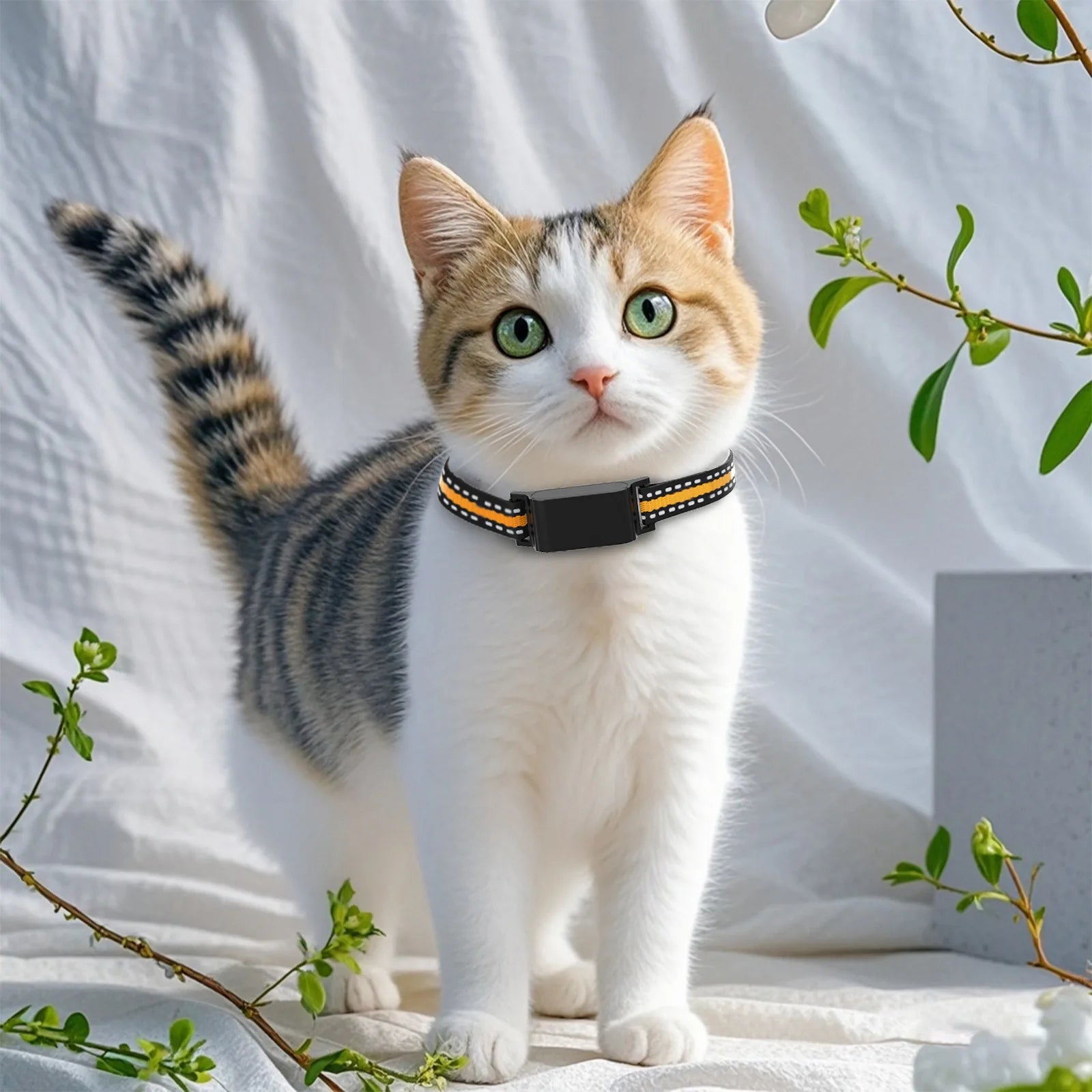 IP67 Waterproof GPS Smart Collar for Cats & Dogs - No Subscription WiFi Real-Time Anti-Loss Tracker