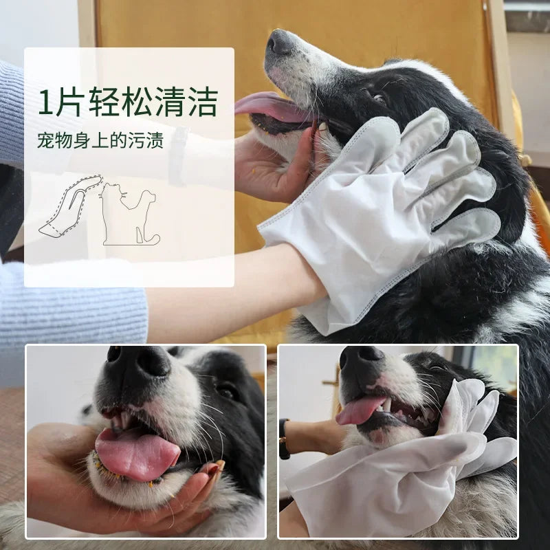 6PCS Pet Disposable Glove Towels Cat Dog Wash Free Glove No Rinse Washing Gloves Towels Deodorizing Dry Cleaning Wet Towels
