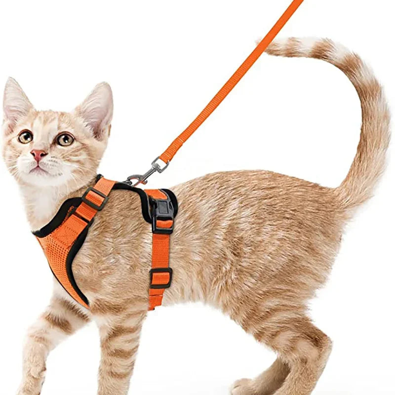Anti-Escape Kitten Harness & Traction Belt — Lightweight Breathable Soft Vest for Walking Small Cats