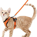 Anti-Escape Kitten Harness & Traction Belt — Lightweight Breathable Soft Vest for Walking Small Cats