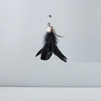 Suction Cup Feather & Bell Cat Teaser Wand