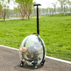 2026 Transparent Pet Luggage Large Capacity Handheld Pet Carrier Bag Portable Travel Cart for Cats Dogs