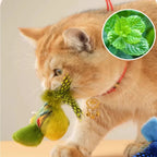 3-Pack Simulation Bird Hanging Cat Toy — Electric Realistic Chirping Sound Catnip Chew Toy