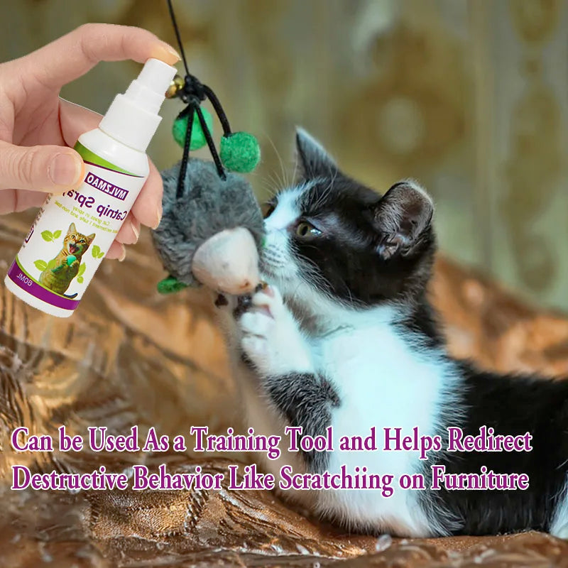 Catnip Behavior Spray for Cats (60ml)