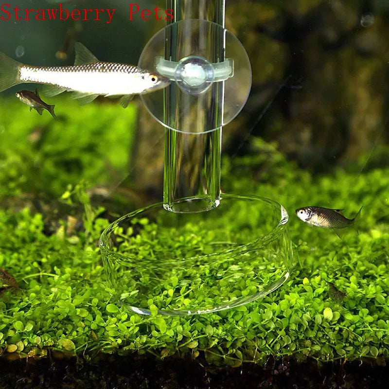 Glass Aquarium Shrimp Feeding Ring & Feeder Dish (Transparent, Floating, Bottom Use)