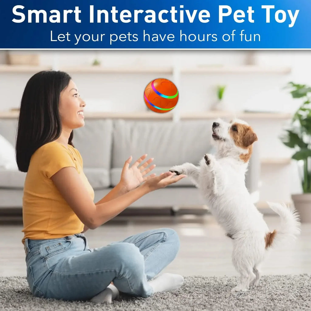 Interactive Smart Pet Ball