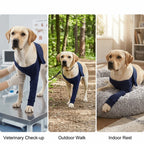 Breathable Fabric Dog Leg Protector Sleeve (Stretchy, Washable, S to XXL)