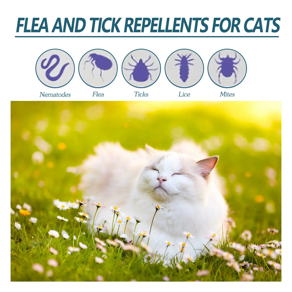 YEGBONG 50ml Flea Tick Control Liquid for Dogs Cats Fast Acting Waterproof Prevention with Gentle Plant Extracts Odorless Formu
