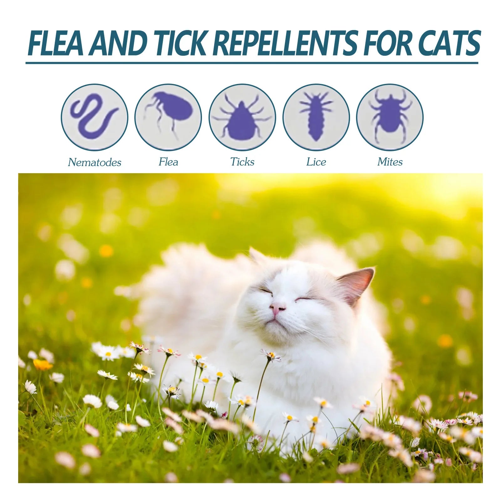 YEGBONG 50ml Flea Tick Control Liquid for Dogs Cats Fast Acting Waterproof Prevention with Gentle Plant Extracts Odorless Formu