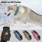 PU Leather GPS-Ready Dog Collar