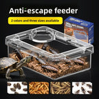 Reptile Lizards Geckos Feeding Bowls Anti Overturning Transparent Water Bowls Prevent Tenebrio Molitor and Blaptica Dubia