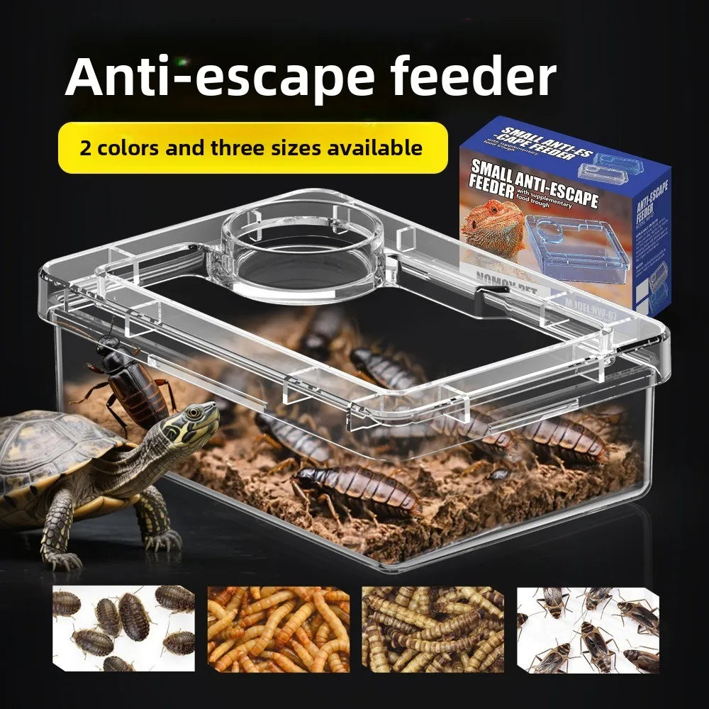 Reptile Lizards Geckos Feeding Bowls Anti Overturning Transparent Water Bowls Prevent Tenebrio Molitor and Blaptica Dubia