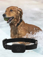 Long-Range GPS Tracker for Dogs & Cats with Adjustable Collar - Smart Remote Pet Locator