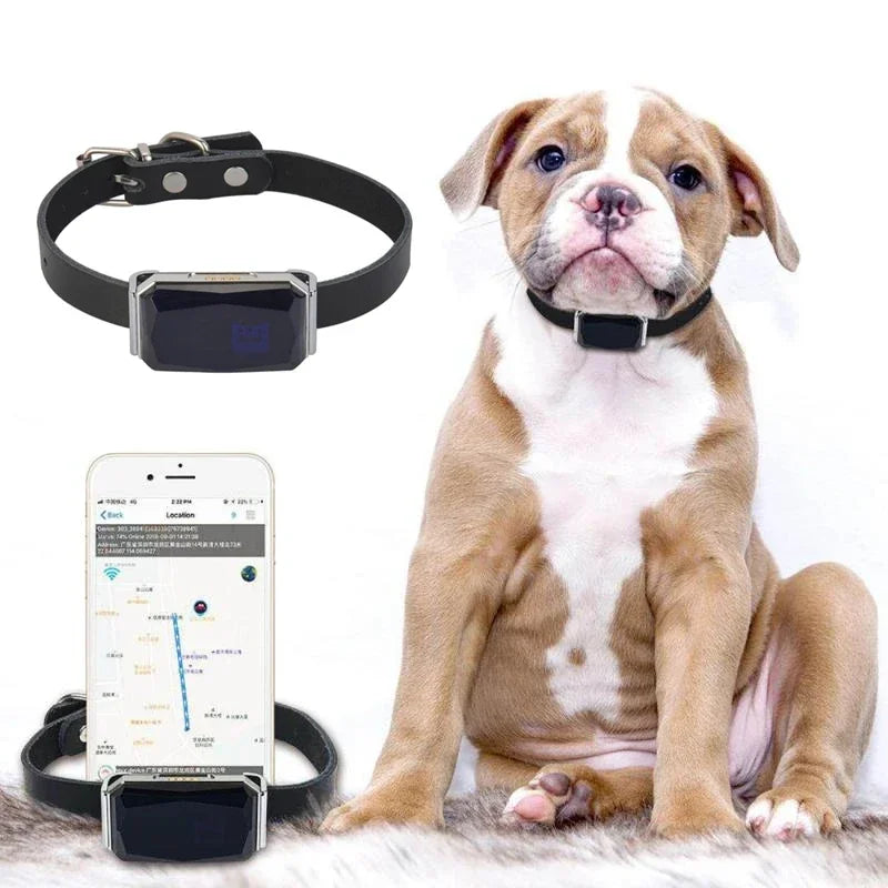 IP67 Waterproof WiFi GPS Pet Collar Tracker with LED Light - Anti-Loss Locator for Dogs, Pets & Kids