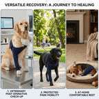 Breathable Canine Leg Protector Sleeve (Soft Fabric, Washable, S to XXL)