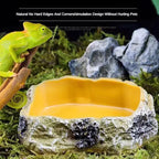 Pet Reptile Water Bowls Terrarium Plate Reptile Feeder Amphibian Feeding Bowl for Frog Chameleon Tortoise Bearded Dragon Turtle