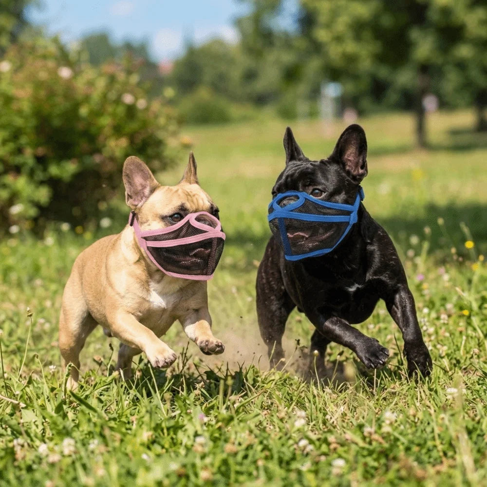 Easy Wear Short Nose Fit Dog Muzzle Adjustable Lightweight Bulldog Muzzle Breathable Flexible Short Snout Muzzle Anti Scavenge