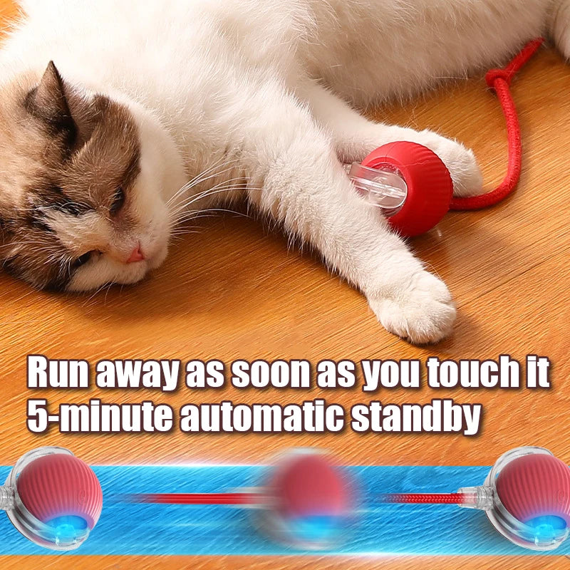 Smart Auto-Rolling Ball Cat Toy with Mouse Tail — Rechargeable Electric Training & Chase Toy