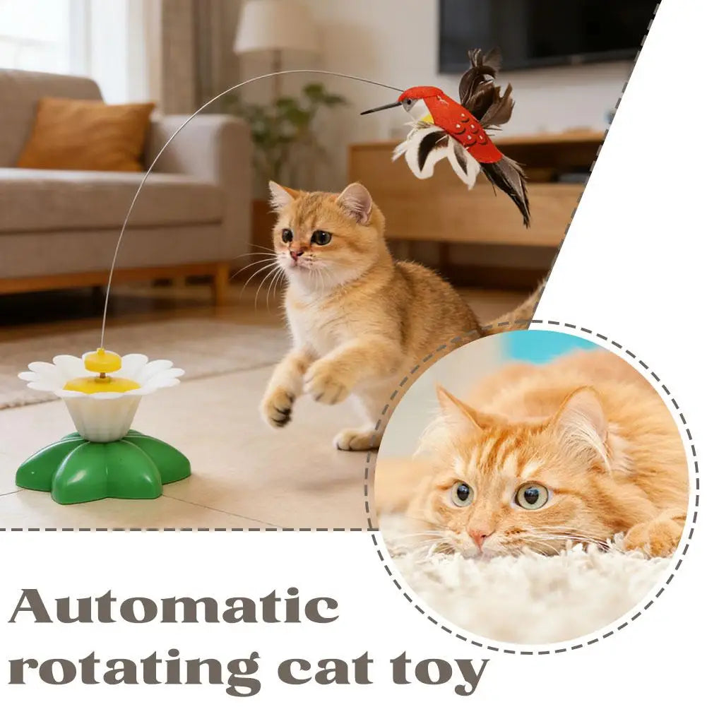 Electric Rotating Butterfly & Hummingbird Cat Teaser Wand — Automatic Flying Kitten Toy