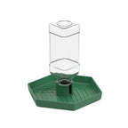 Turtle Food Bowl Anti-slip Reptiles Water Feeder Stable Plastic Automatic Water Dispenser Detachable Turtle Water Bowl Vivarium