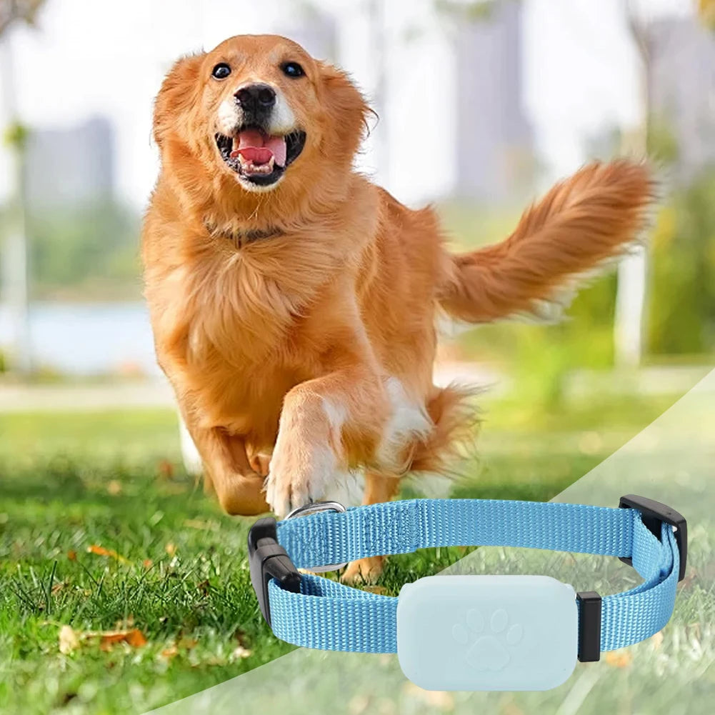 Multifunctional GPS Pet Tracker with Adjustable Collar - Smart Cat & Dog Tracking Accessories
