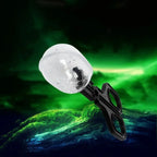 New Scissor Type Reptile Clip Insect Breadbug Feeding Clip For Feeding Reptiles Insect Biology Research Feeding Tool CaptureClip