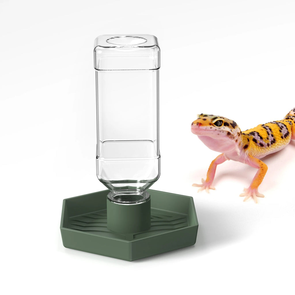 Reptile Water Dispenser-Bearded Dragon Water Bowl - Small Water Dish for Tortoise - Bowls for Reptiles & Amphibians (S)