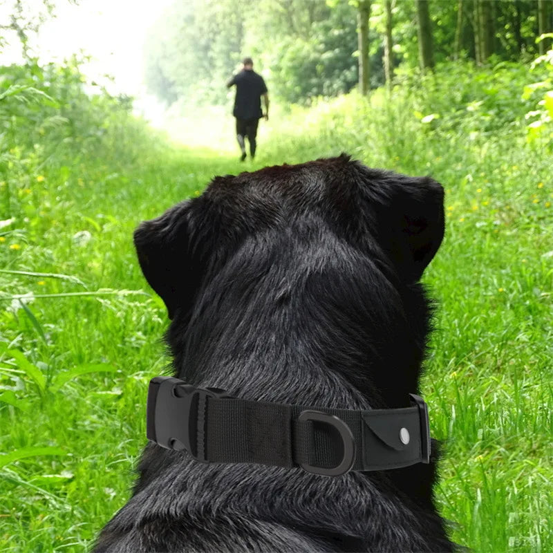 GPS Pet Collar & Leash Locator Set for Dogs & Cats - Comfort Nylon Traction Collar with Tracking