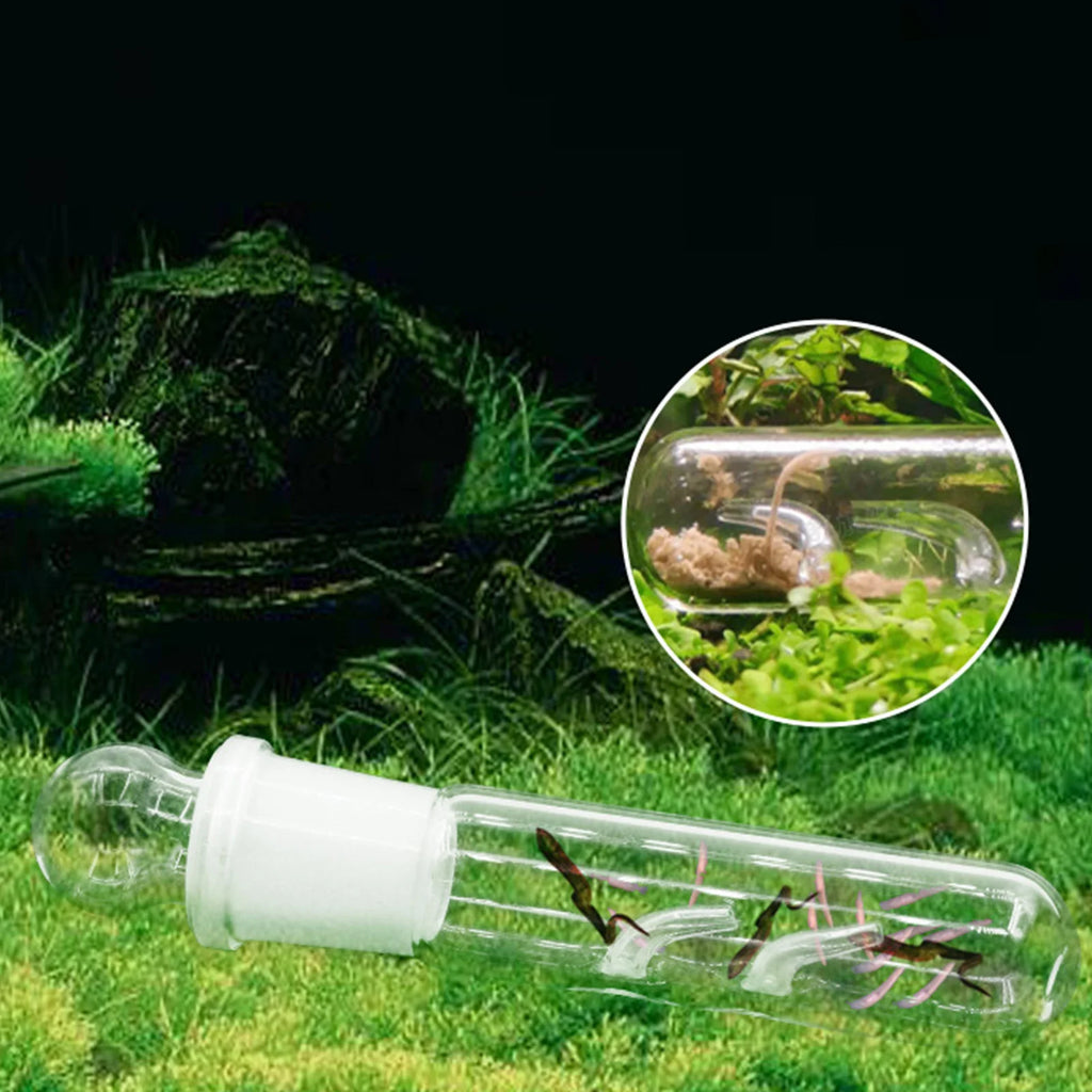 3 Holes Glass Planarian Trap Aquarium Bristle Worm Catcher Snail Trap Reduce Planaria Population In Fish Tank