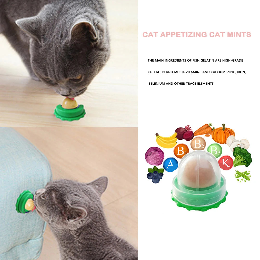 Catnip Licking Candy Nutrition Gel Treats for Kittens