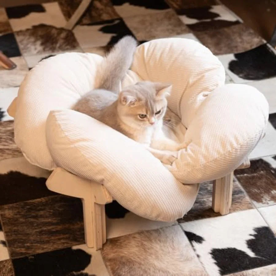 Elevated Wooden Cat Bed with Cushion for Indoor Cats & Small Dogs