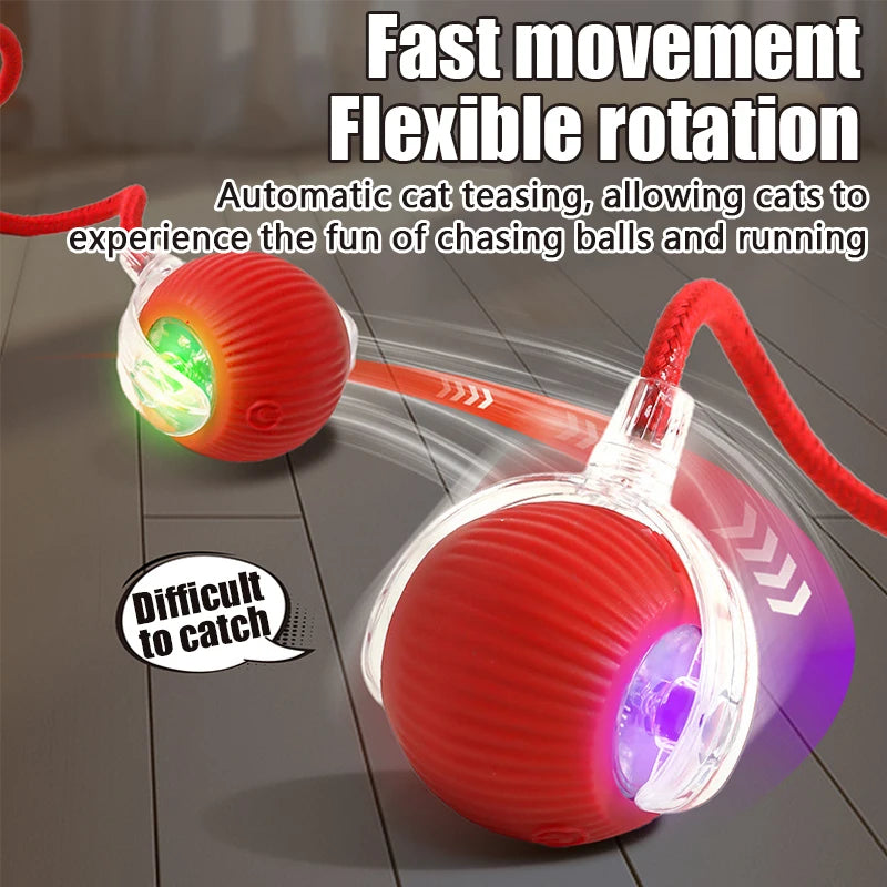 Smart Auto-Rolling Ball Cat Toy with Mouse Tail — Rechargeable Electric Training & Chase Toy