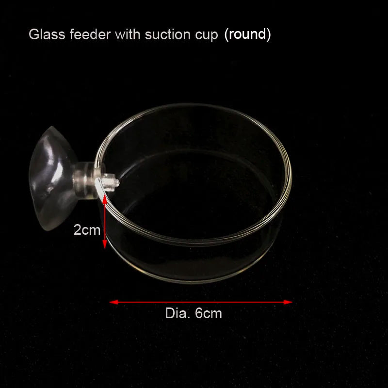 Glass Aquarium Shrimp Feeder Bowl & Tube (Transparent, Snail & Shrimp Food Dish)