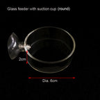 Glass Aquarium Shrimp Feeder Bowl & Tube (Transparent, Snail & Shrimp Food Dish)