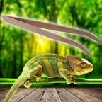 Reptile Feeding Tools 16.5/28cm Bamboo Tweezers Reptile Insects Lizard Gecko Turtle Snake Spider Bird Feeding Cleaning Tool