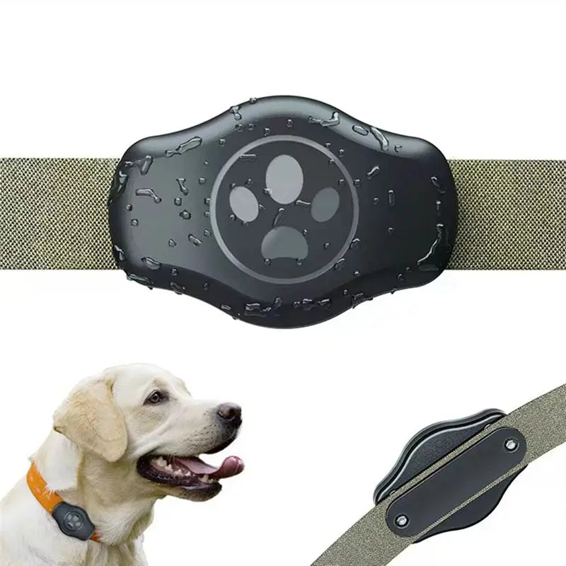 Protective Shell Collar Strap with AirTag Holder for Dogs & Cats