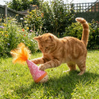Wood Base Turkey Feather Cat Tumbler Toy — Bite-Resistant Self-Righting Interactive Teeth-Cleaning Teaser