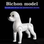 Bichon Grooming Practice Model with Simulation Wig