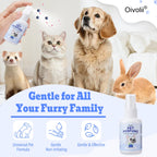 Pet Deodorizing Perfume Spray for Dogs Cats Natural Long Lasting Fresh Scent Blueberry Travel Size Portable