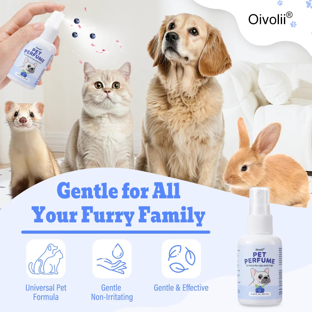 Pet Deodorizing Perfume Spray for Dogs Cats Natural Long Lasting Fresh Scent Blueberry Travel Size Portable