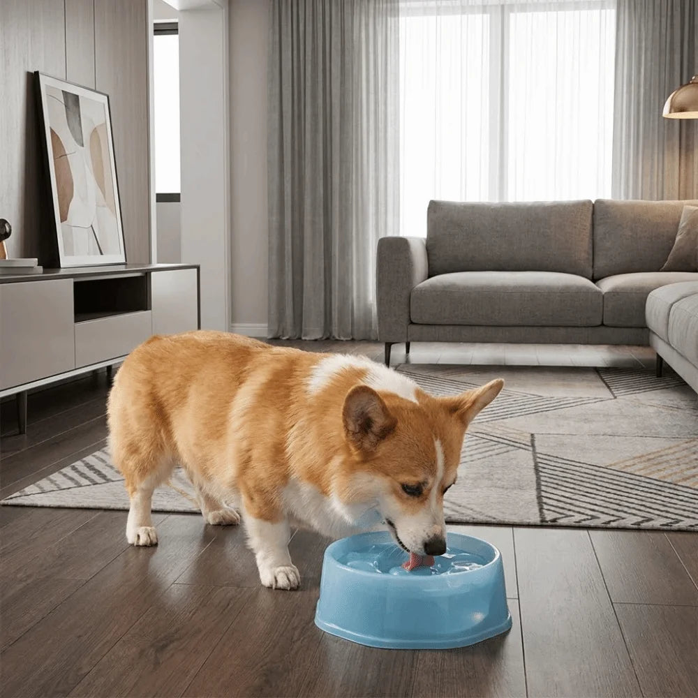 Plastic Pet Floating Water Bowl Large Capacity Spill Proof Pet Water Dispenser Anti-Splash No Wet Mouth Dog Drinking Bowl