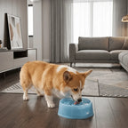 Plastic Pet Floating Water Bowl Large Capacity Spill Proof Pet Water Dispenser Anti-Splash No Wet Mouth Dog Drinking Bowl
