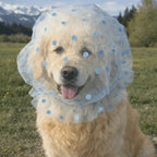 Breathable Mesh Pet Anti-Mosquito Headgear (Adjustable, Love/Wave Pattern)